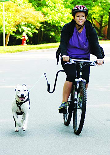 Springer Fahrradhalterung für Hundeleine - Hands-Free Pet Leash - Universal für Fahrräder - Schwarz, Large