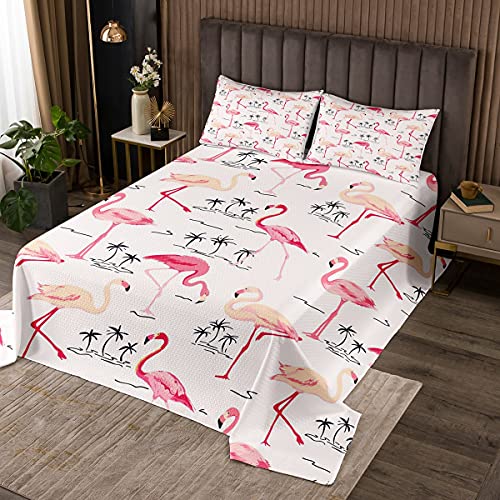 Colcha de flamenco, 240 x 260 cm, diseño de flamencos, color rosa, juego de 3 piezas, para niños, jóvenes, niñas, dormitorio, decoración de palmera, colcha tropical con 2 fundas de almohada