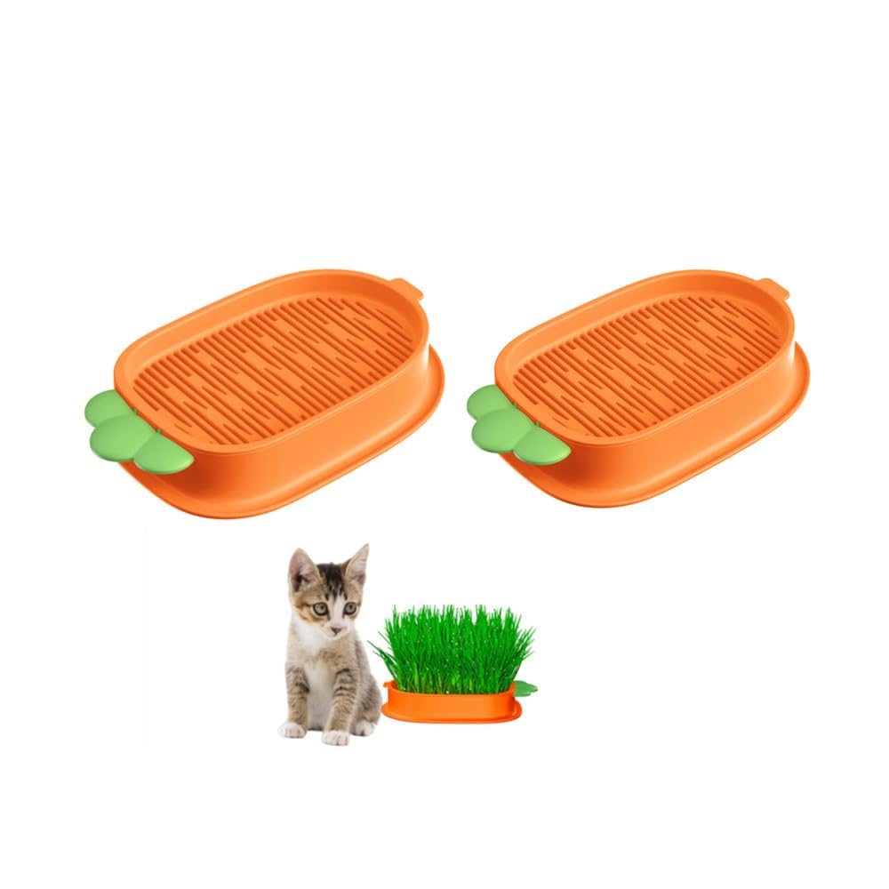 Changyeah Juego de crecimiento de hierba para gatos, 2 unidades, para gatos y mascotas (naranja)