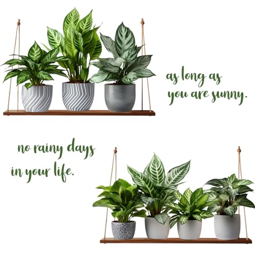 Vinilo decorativo hoja planta verde para pared 30x90 cm miniatura 7
