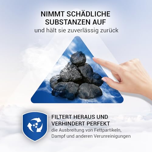 VIOKS Zestaw 2 filtrów węglowych do okapu kuchennego AEG 4055171138 4055217501 Type57 Whirlpool 484000008824 Elica CFC0038668 filtr do okapu kuchennego AEG