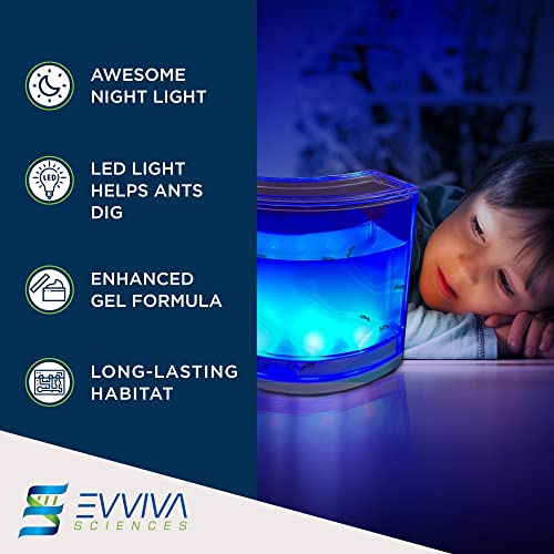 Evviva Ant Habitat W/Led Light. Enjoy A Magnificent Habitat. Great For Kids & Adults. Evviva Ant Ecosystem W/Enhanced Blue Gel. Educational & Learning Science Kit. Live Ants Not Included #TOP4