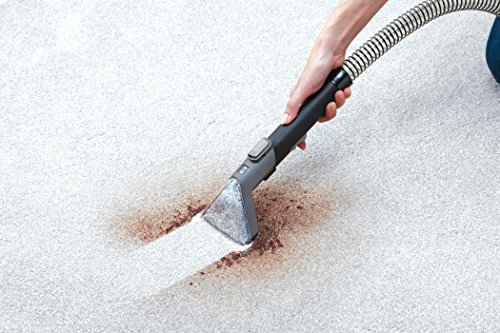 Hoover TwinTank Handheld Steam Cleaner, WH20100 (Gray)