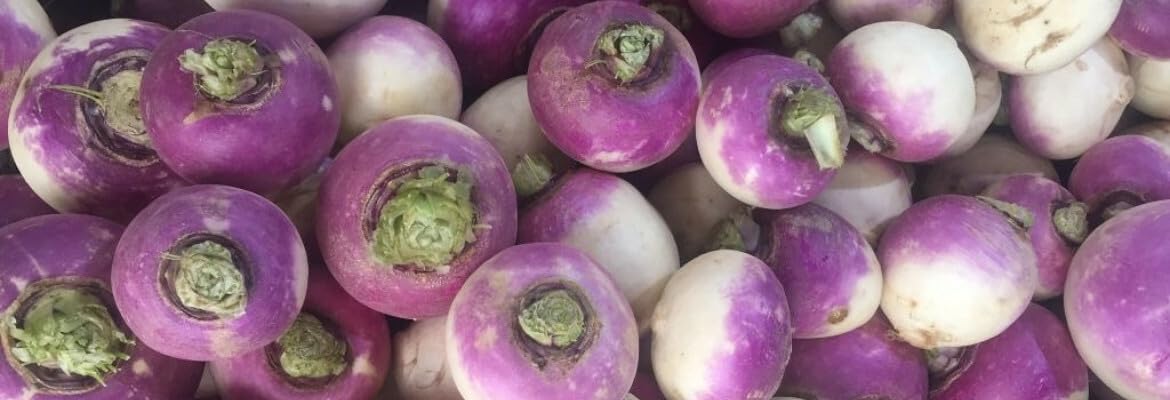 Willvine White Purple Ball Turnip/Shalgam-UK-6Z-image-21