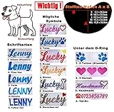 Hundegeschirr S M L XL XXL Brustgeschirr mit Wunsch Namen bestickt Kunstleder Schwarz Kupfer