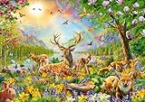 Ravensburger