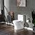 WOODBRIDGE Short Compact Tiny Dual Flush 1.28 GP One Piece Toilet,with Soft Closing Seat,1000 Gram MaP Flushing Score Small Toilet with Chrome Button B0500-CH, White