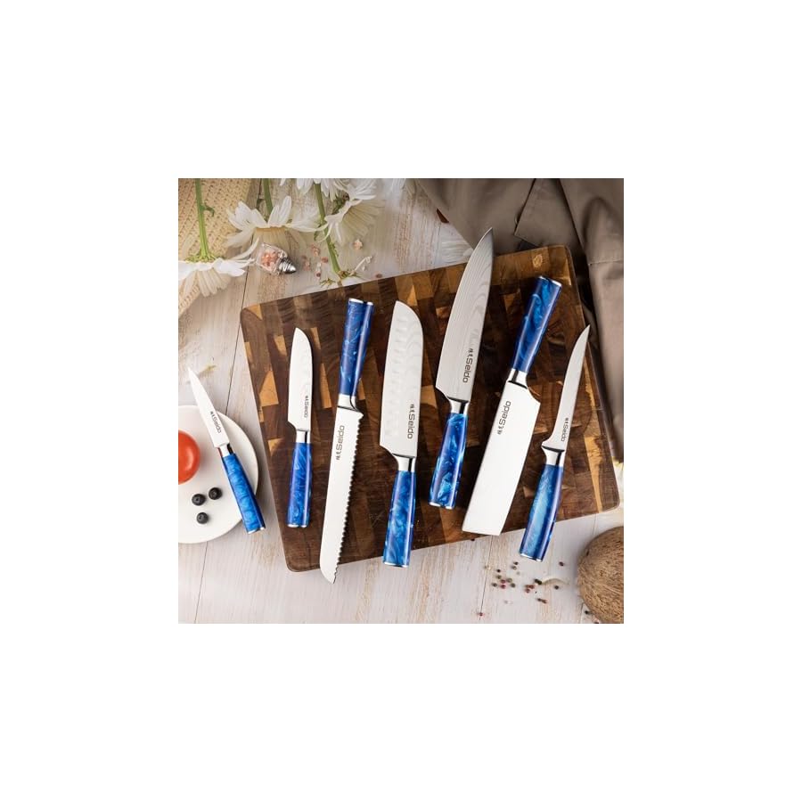 Seido Knives 10-Piece Tengoku Chef Knife Set - Handmade Artisan Craftsmanship, High Carbon Stainless Steel Blades with Ergonomic Resin Epoxy Handles for Perfect Balance