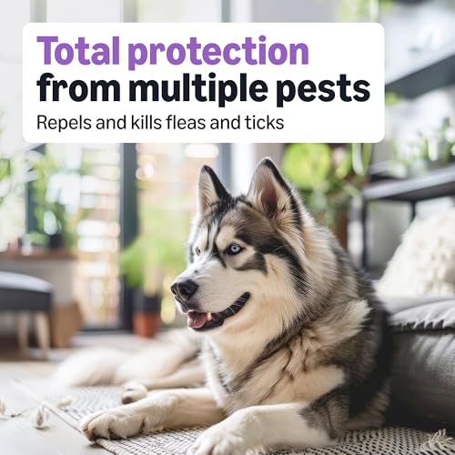 Amazon Basics Flea and Tick Topical Treatment and Prevention for Large Dogs (45-88 lbs), Fast Acting and Long Lasting, 3 Count, Packaging May Vary - Image 4