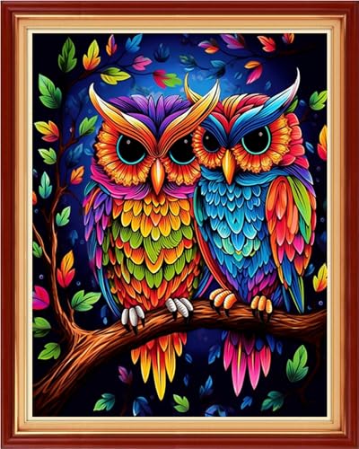 Image of Findvoor Stamped Cross Stitch Kits for Beginner Embroidery Kits for Beginners Adults DIY 11CT Cross Stitch Patterns Needlepoint Kits Crossstitching Kits-Colorful Owl 16x20 inch