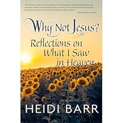 Why Not Jesus? Audiolibro Por Heidi Barr arte de portada