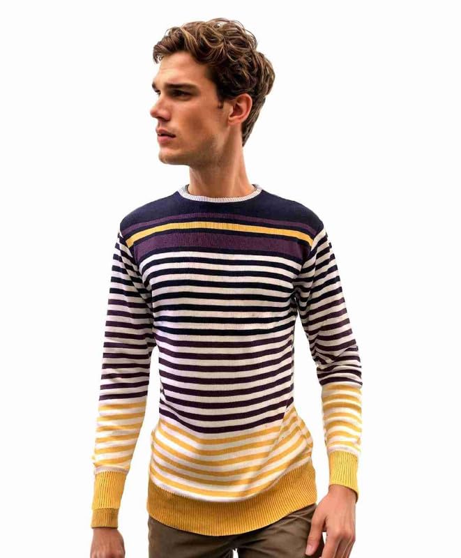 forwards Striped Round-Neck Full-Sleeve Sweater for Men-picture-24
