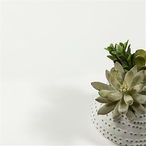 Miniatura 8 de Pemberly Row Cómoda contemporánea con 3 cajones, madera de ingeniería, acabado blanco, 26.75 pulgadas de alto x 28.5 pulgadas de ancho x 11.75