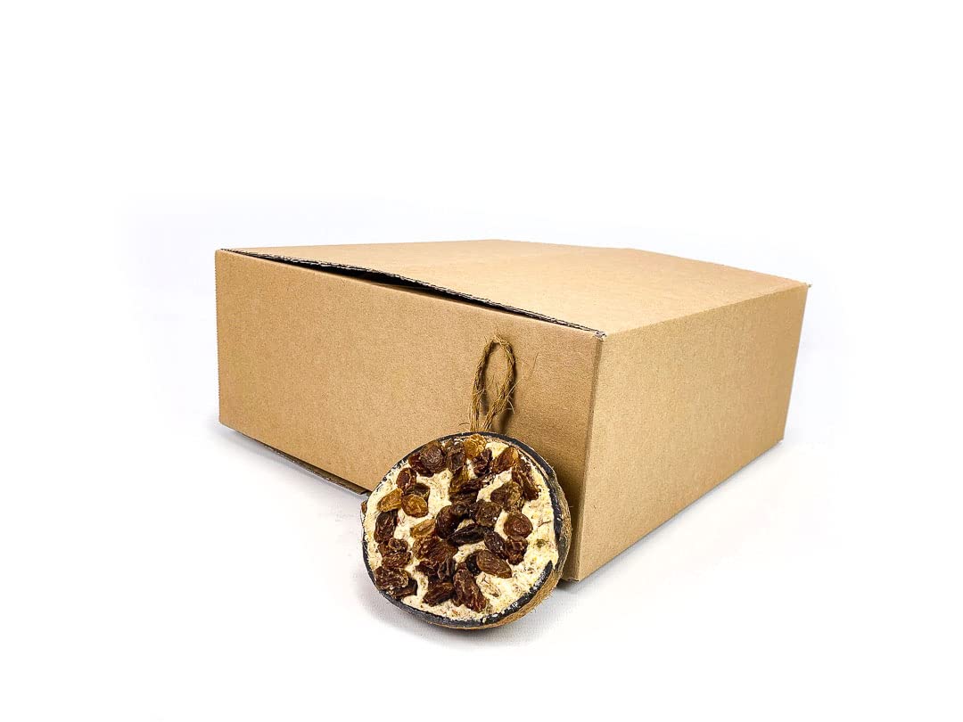 Chubby Suet Half Filled Coconuts Topped with Raisins, Bird Feeder Coconut Halves for Wild Birds, Coconut Shell Suet Birds Food For Blackbirds, Woodpeckers,Starlings & Sparrows (Pack of 10)