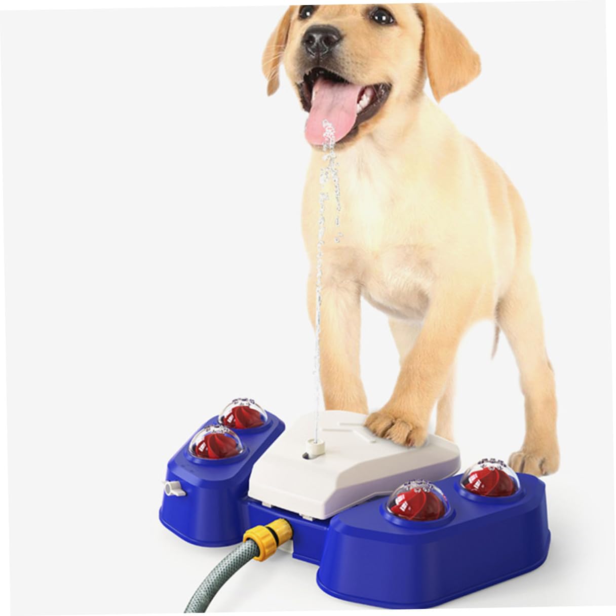 Jouet Arroseur pour Chien Multifonctionnel pour Jeu et Bain Bleue