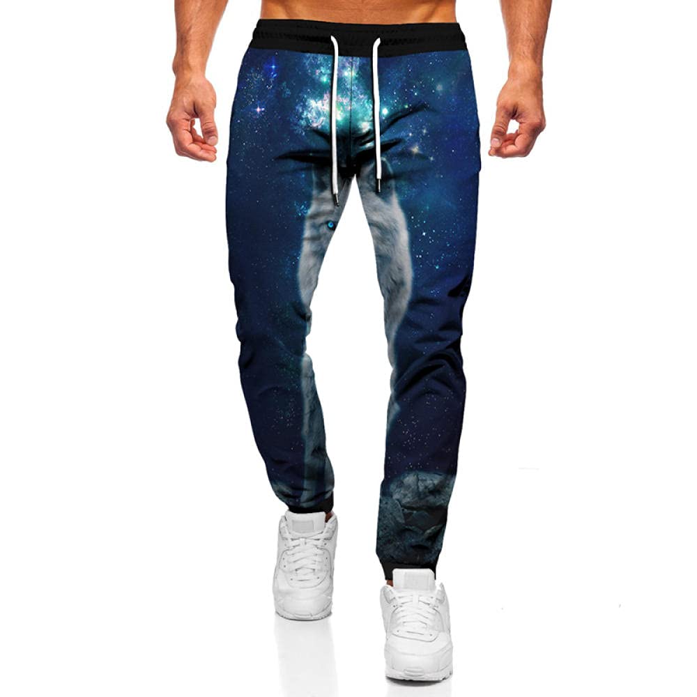 Spring and Autumn Animal Wolf 3D Printing Men's Pants Oversized Sports Pants Hip Hop Street Casual Pants Gym Fitness Pants-16_5XL