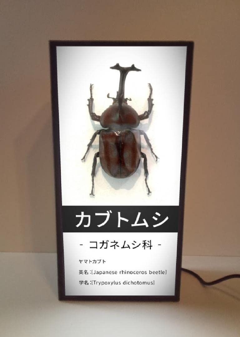 日本のコガネムシ科図鑑 3巻セット 日本のコガネムシ科図鑑 3巻セット 日本のコガネムシ科図鑑 3巻