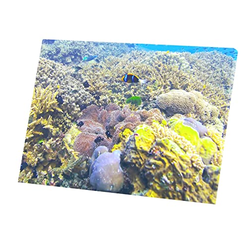 Récifs fonds marins tableau toile imprimée poisson clown déco mer pour mur de chambre