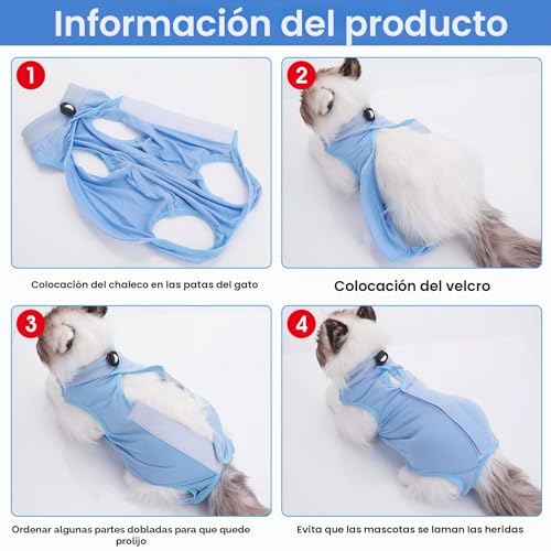 Miniatura 6 de Molain Traje De Recuperación Profesional Para Gatos Para Heridas Abdominales O Enfermedades De La Piel, Alternativa Para Después De La Cirugía, Collar Electrónico Para Gatos Azul, Talla M