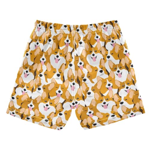 Boys Swim Trunks Quick Dry Corgi Dog Beach Board Shorts with Mesh Lining Youth Swimwear 2-12T2