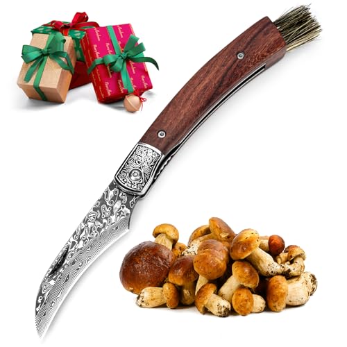 DRACHENADER Pilzmesser mit Bürste/Pinsel (integriert), Schwammerlmesser aus 67 Lagen Vg10...