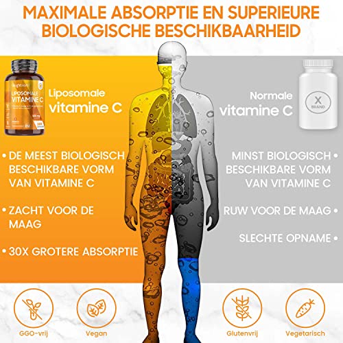 Liposomale Vitamine C capsules - 1000mg - 180 vegan capsules voor 3 maanden - Voor het immuunsysteem en energie… - Image 4