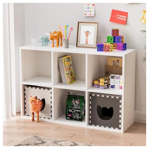 Versatile 6-Cube Storage Shelf Organizer