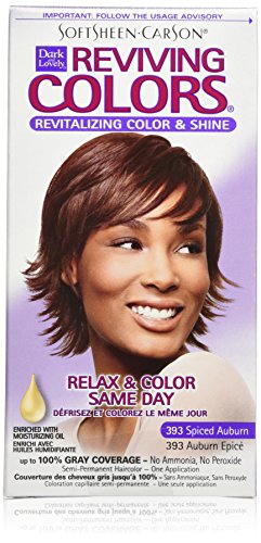 SoftSheen-Carson Dark and Lovely Reviving Colors Nourishing Color & Shine, Spiced Auburn 393