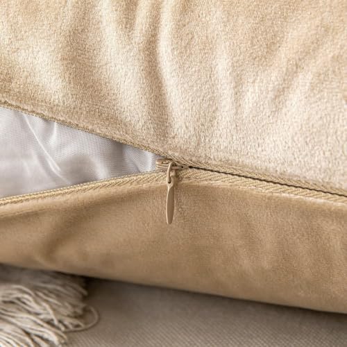 Image of 5 Piece Holland Velvet Cushion Cover, 24x24 inch, Beige | Soft Solid Decorative Throw Square Pillow Cases Modern Luxury Home Decor for Couch Sofa Bedroom Livingroom