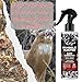 INVISIBLE HUNTER Zone Protects Scent Eliminator Field Spray - 8oz Triple Action Odor & Human Scent Eliminator, Effective for Deer, Hogs & Game Hunting