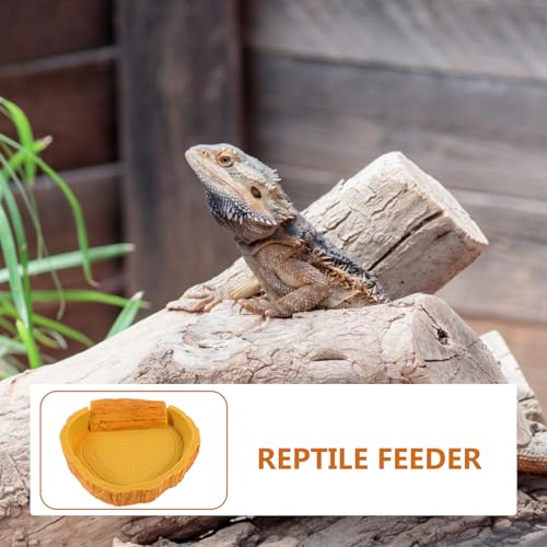 HOMSFOU Wasser und Futterschale für Reptiliengehege Geeignet für Hermanns Schildkröten Eidechsen und Spinnen