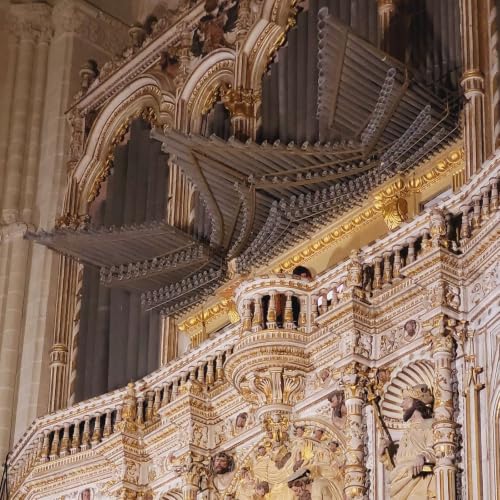 Il Maggio Organistico presenta Jaime Le&oacute;n G&oacute;mez, organo
