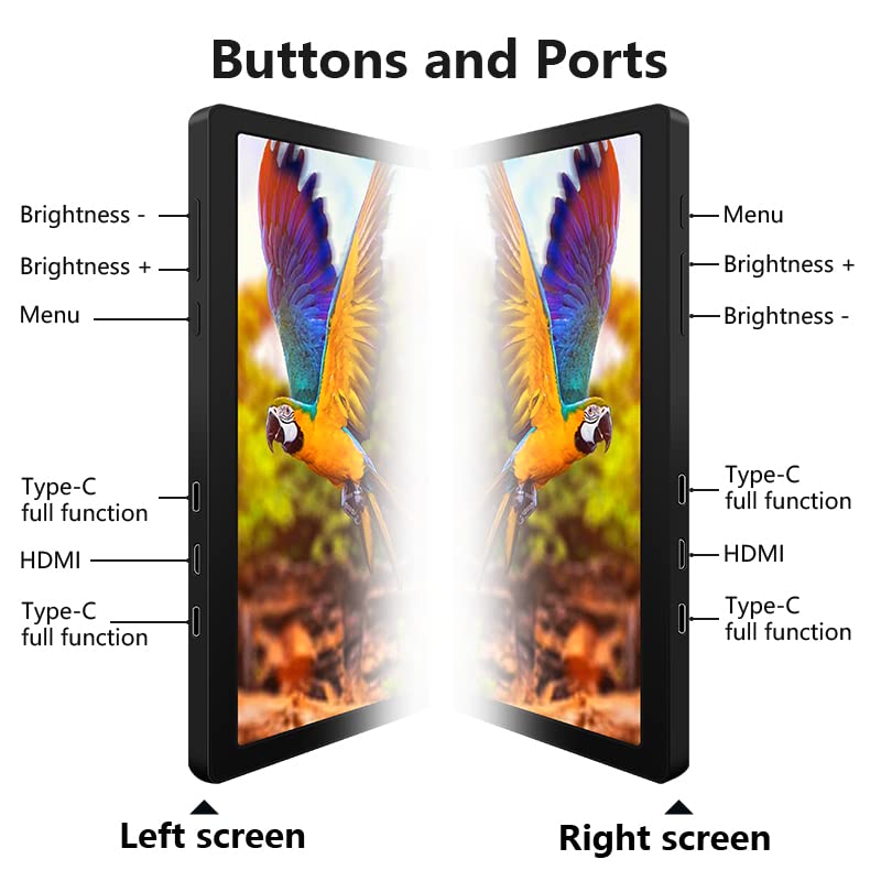 Image of Riitek 14 inch Full HD IPS 1080P Portable Monitor Screen Extender with USB A, Type-C, HDMI Cable, Carry Bag for 14 inch-17 inch Laptop, Mac, Switch, Xbox One, PS5 (Screen Size - 14 Inch, Grey)