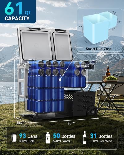 Feelfunn 61QT Dual Zone Portable Freezer