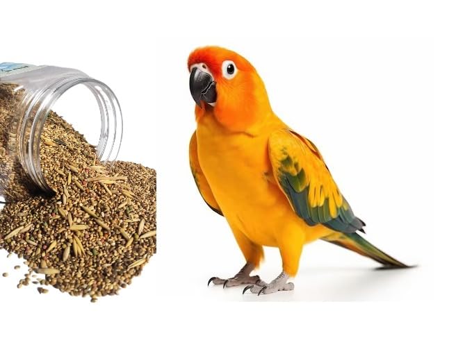 CHEENNY Bird Food for Budgies - 900gm | Natural & Healthy Premium Mix Seeds, | Daily Bird Budgies Food Seeds| All Life Stages - Mix Seeds (900 GM) (B0DBQFVJY8) Amazon Price History, Amazon Price Tracker