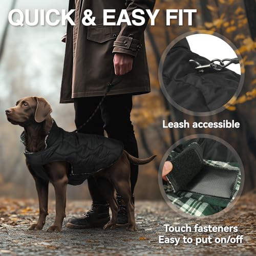VIVAGLORY Softjoy Hundemantel, Wintermantel mit Bauchschutz, Hundejacke für Winter & Weihnachten, Warm Softshell Kariert Schnittmuster Verstellbar, M, Grün