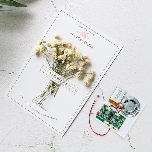 Image of Diymore DIY Birthday Cards Music Module 8MB,Light Sensing Activated Sound Module with Speaker,Easy Recording for Personalized Greetings,DIY Projects Holiday Crafts Cards Gifts for Women Men Mom Kids
