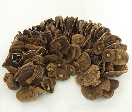 Miniatura 5 de Seweryn Champiñones secos Bay Bolete Podgrzybek Brunatny Whole Caps String Free GMO 50gr  1.76 oz de Polonia