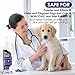 Bitter Apple Spray for Dogs to Stop Chewing, 175ML No Chew Spray for Dogs, Natural Dog Deterrent Spray for Pet Behavior Training, Indoor & Outdoor Safe, Alcohol Free/Non-Toxic/No Sting & No Smell