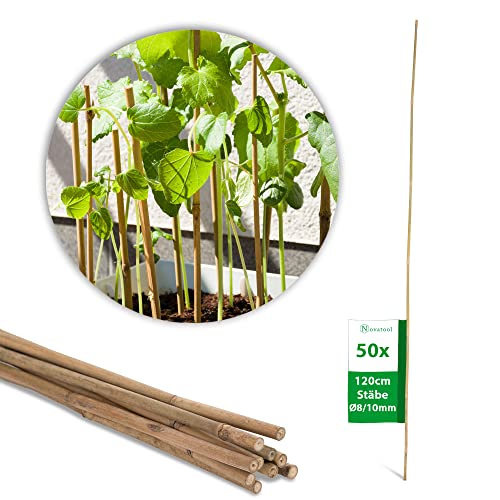 Novatool 50 Stück Tonkinstäbe 120 cm I ø 8-10 mm I Braun I Tonkinstab Pflanzstäbe Bambuspfähle Gartenpfähle Bambusstöcke Pflanzenstütze Pflanzstab Monstera Rankhilfe