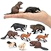 Toymany 10pc Woodland Animal Figures Set - Realistic Forest Creatures for Educational Fun & Gifts - Kids, Toddlers, Birthday, Christmas