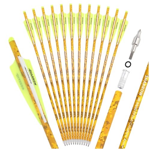Flèches en carbone avec pointes de 125 grains pour corriger la trajectoire du tir à l'arc