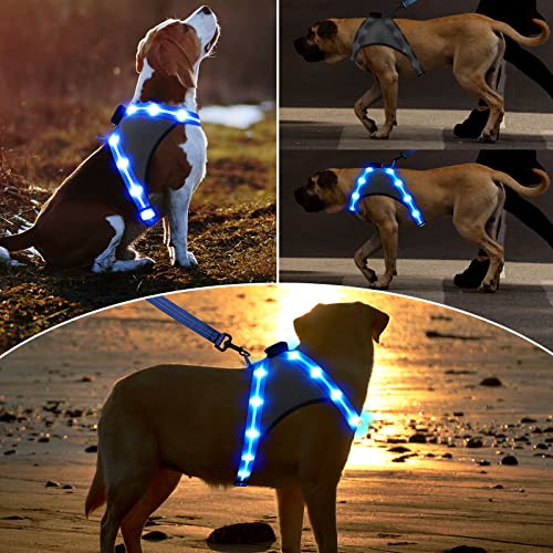ChalkLit LED Hundegeschirr, Leuchtendes Wiederaufladbares Beleuchtetes Reflektierendes Hundegeschirr Leuchtet Im Dunkeln, LED Hunde-Sicherheitswestenlichter für Nachtspaziergänge (Blau, M)