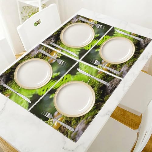 Sets de table lavables et résistants à la chaleur lot de 6 en toile - 6