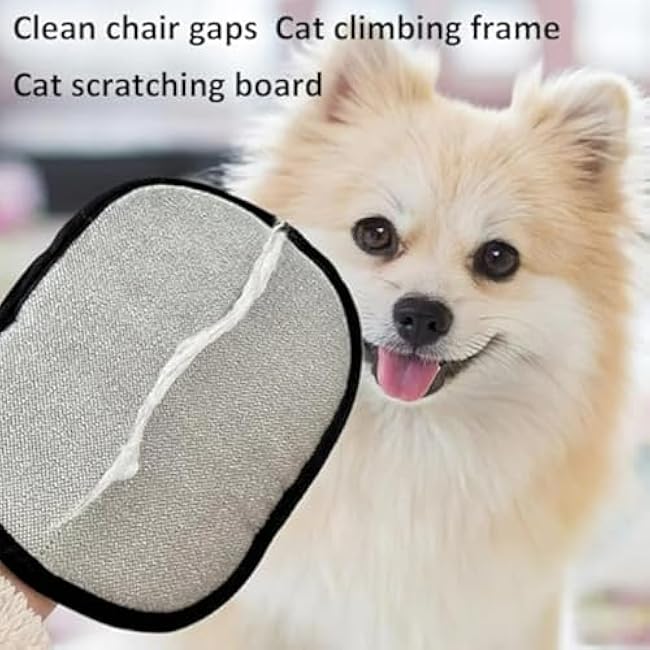 Clean My Space Pet Hair Remover Gloves, Sticky Fur Removal Premium Glove, Electrostatic Gloves Pet Hair Removal, Pet Hair Removal Glove ¨C Effortless Fur Cleanup, Goalintent Pet Gloves (1PCS)-3EHRy5Xh