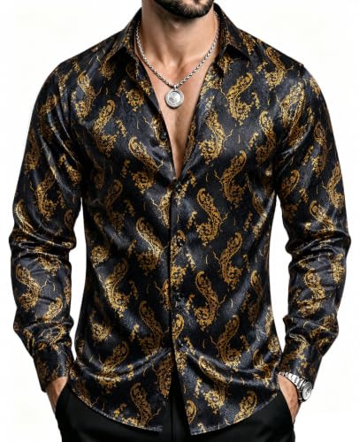 DiBanGu Men Dress Shirt Paisley Long Sleeve Button Down Shirt