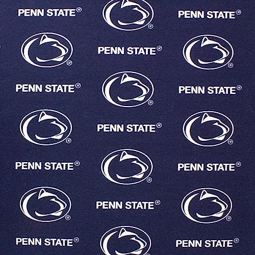 Image of College Covers Everything Comfy Penn State Nittany Lions 2pc Chair Cushion
