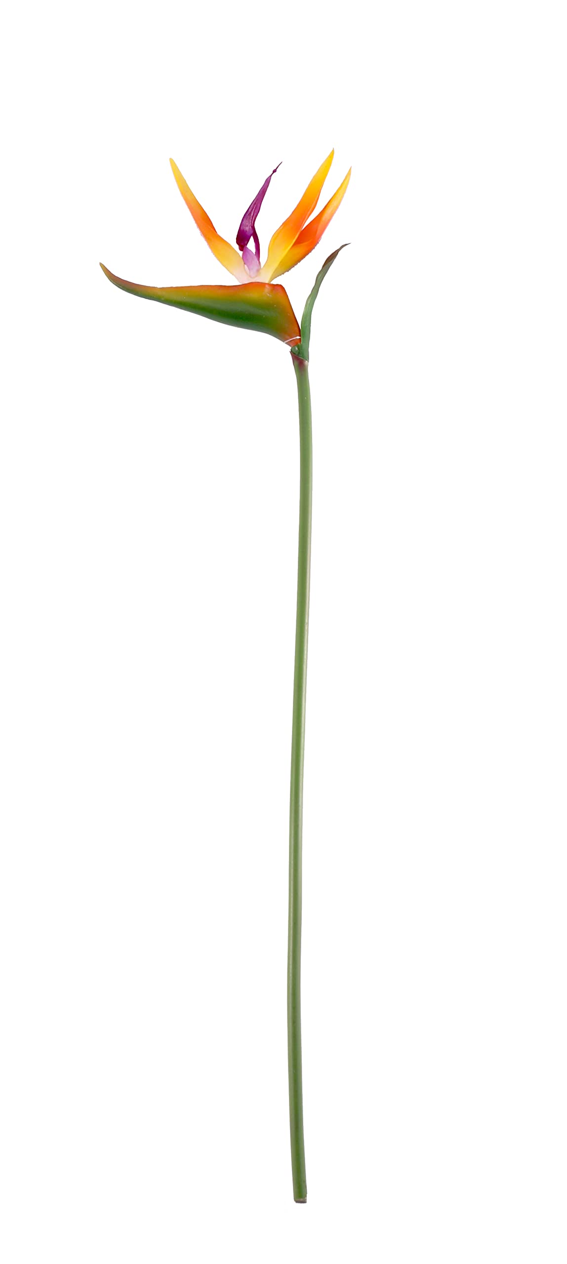 Apac Artificial Small Bird of Paradise, Silk Flowers Perfect for Home Wedding Party Decorations Flower Arrangements