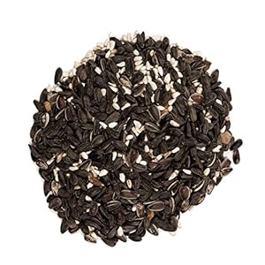 Wagner's 62032 Cardinal Blend Wild Bird Food, 6-Pound Bag Wagners 62032 Cardinal Blend Wild Bird Food 6 Pound Bag