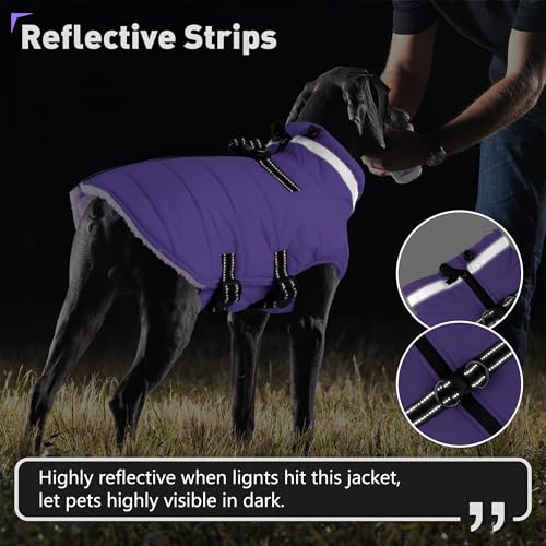 Image of Dogcheer Dog Coat with Harness, Waterproof Dog Jacket Adjustable Winter Coat with Zipper, Christmas Puppy Snow Jacket Fleece Sweater for Small Medium Large Dogs - Taro Purple L